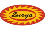 Surya Kictehn Chimney Repair & Installation Service Bisrakh